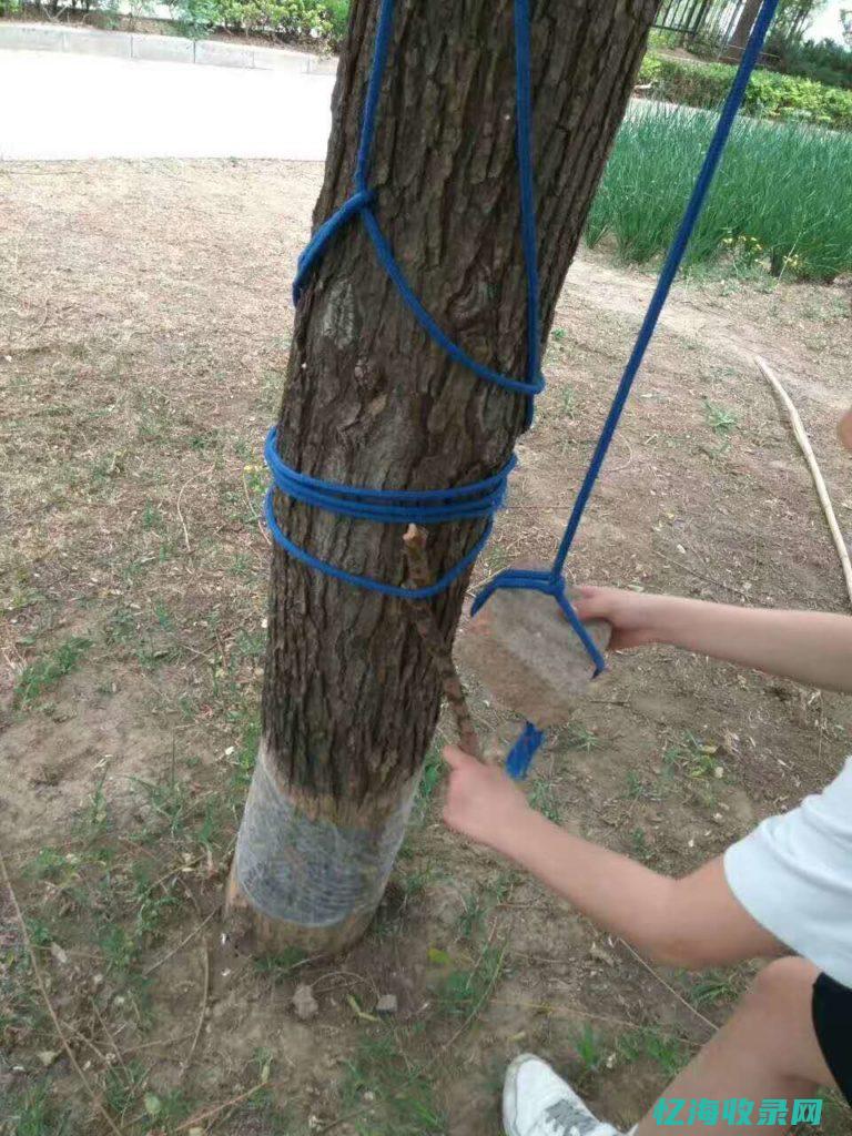 怎样做好森林防火工作