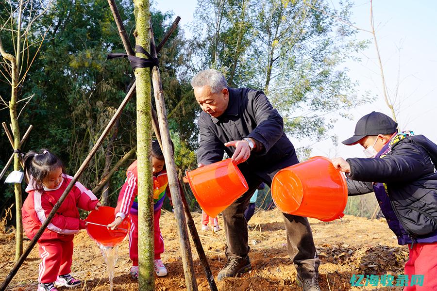 怎样做好森林防火工作 (怎样做好森林防火措施)