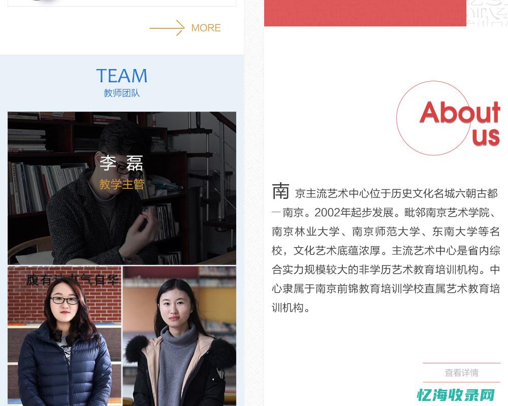 南京网站seo (南京网站设计公司哪家好)