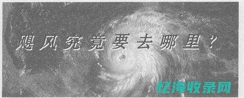 飓风网络用语是什么意思 (飓风网络用语怎么说)