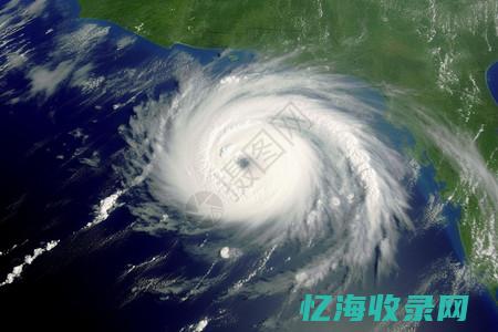 飓风网电商平台官网