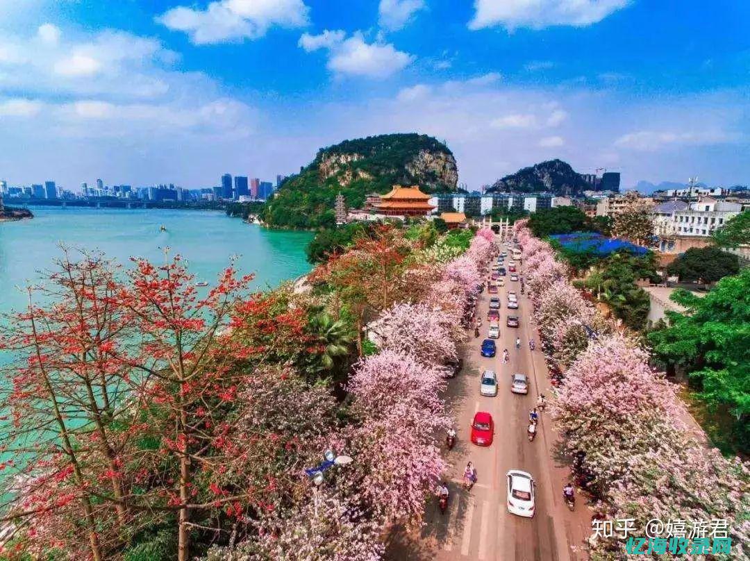 柳州网站建设介绍服务