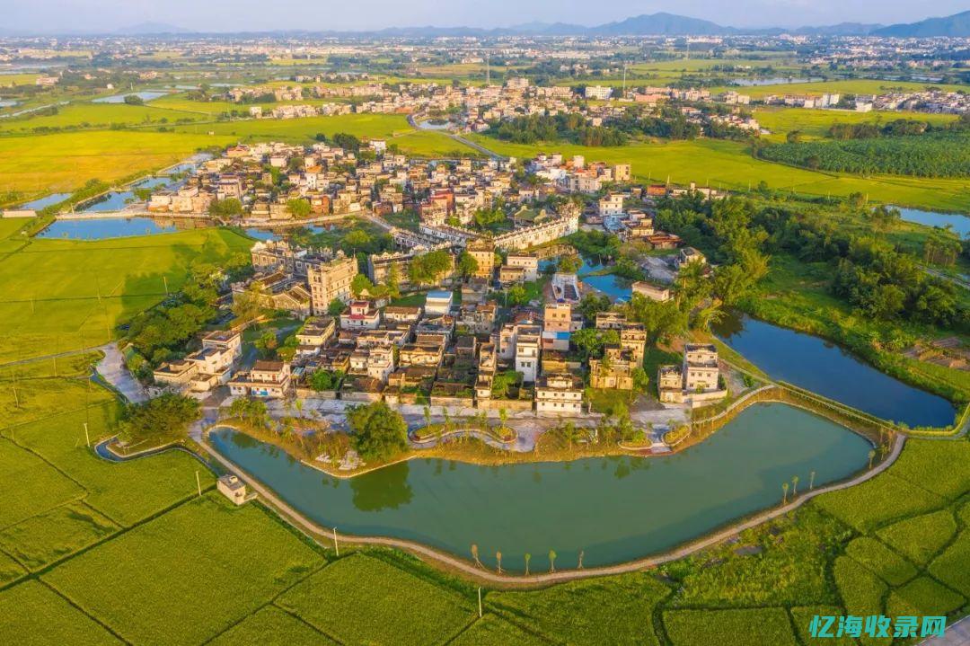 江门seo网络推广