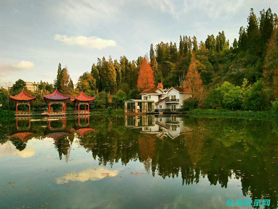 昆明网站seo (昆明网站seo服务)