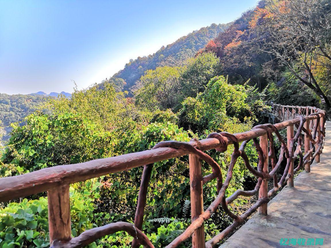 有什么森林公园