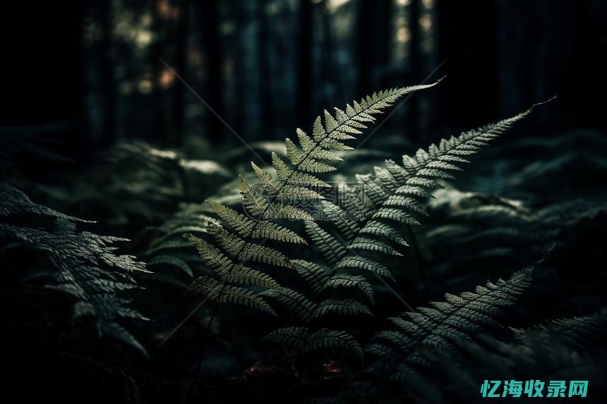 有什么森林公园的景点