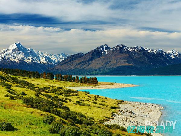 哈尔滨网站上排名 (哈尔滨网页)