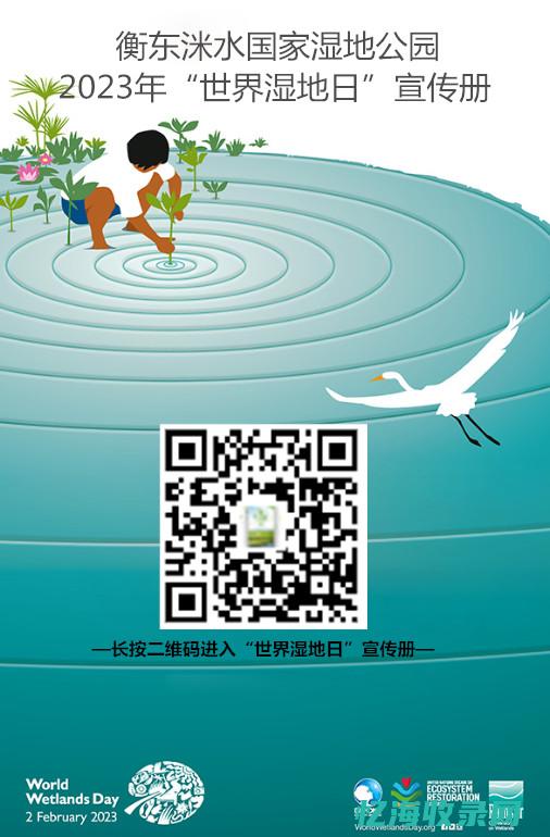 长春网站seo外包