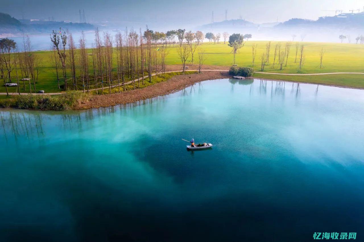 渝中区森林覆盖