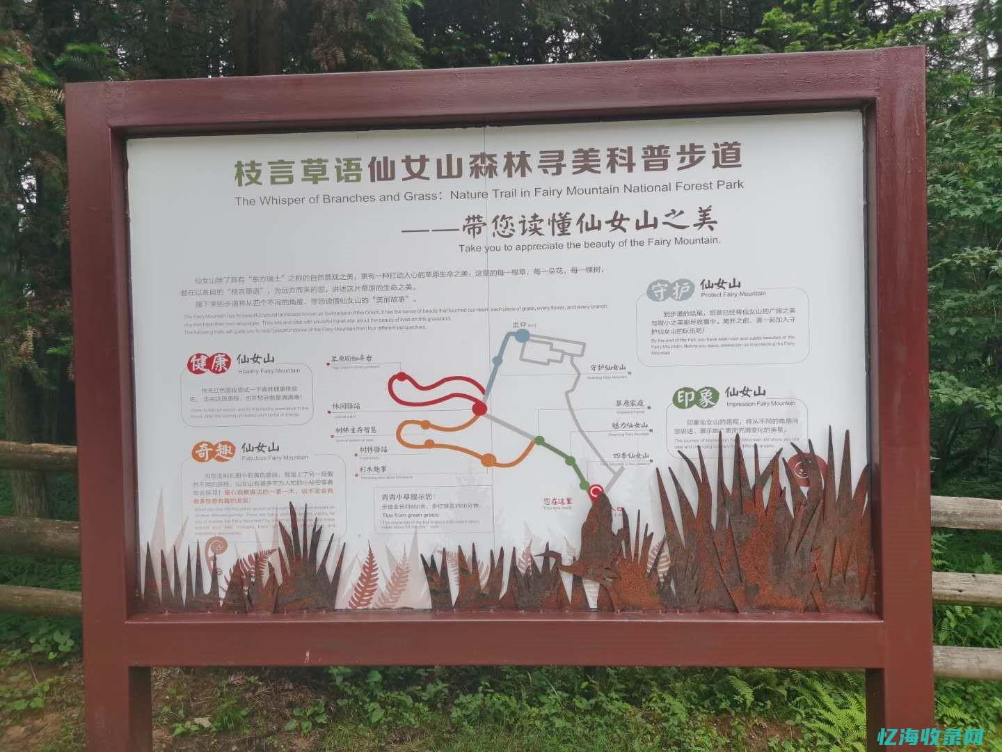 渝中区森林公园 (渝中区森林公园在哪里)