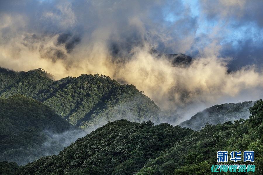 渝中区森林公园
