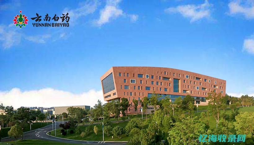 昆明网站SEO技术厂家