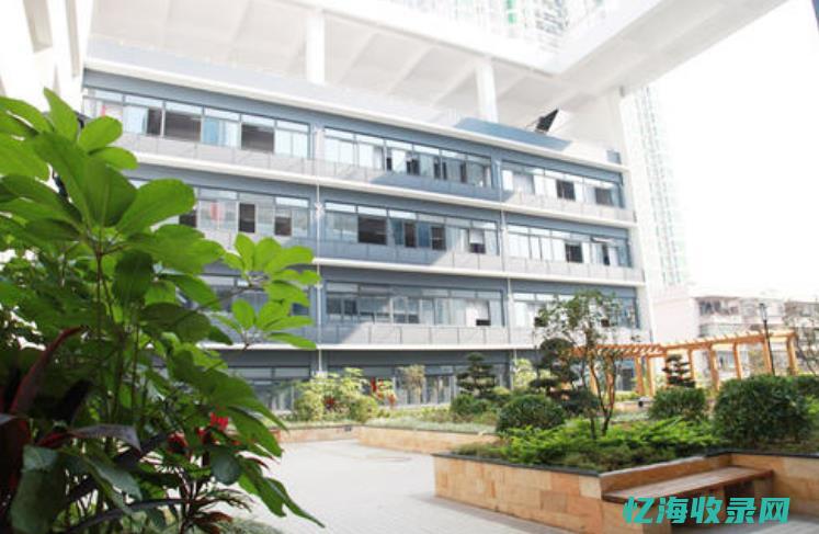 深圳好的私立医院有哪些 (深圳好的私立小学)