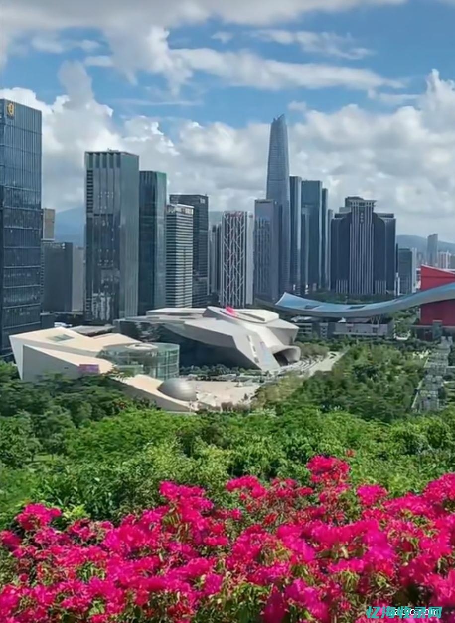 深圳好的上市公司有哪些 (深圳好的上市公司)