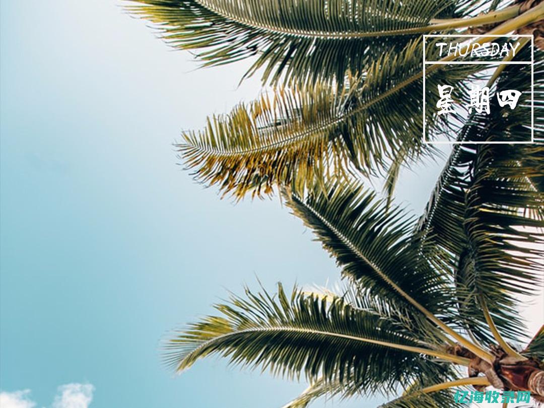 专业的sem优化营销公司 (专业的seo外贸推广)