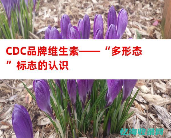 西安seo外包公司 (西安seo公司)