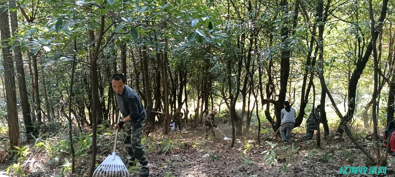 怎样做好森林防火工作 (如何做好森林防火安全)