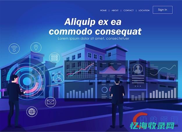 大连seo网站排名