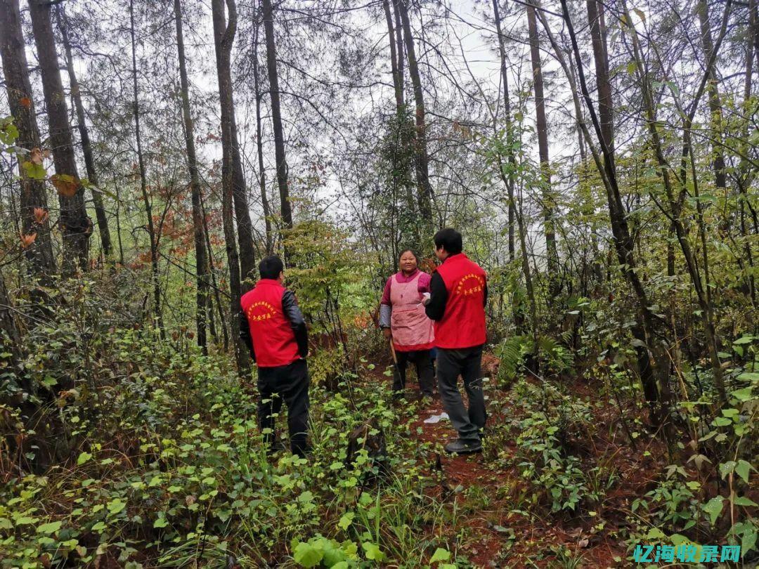 重庆做森林防火的公司 (重庆做森林防火门厂家)