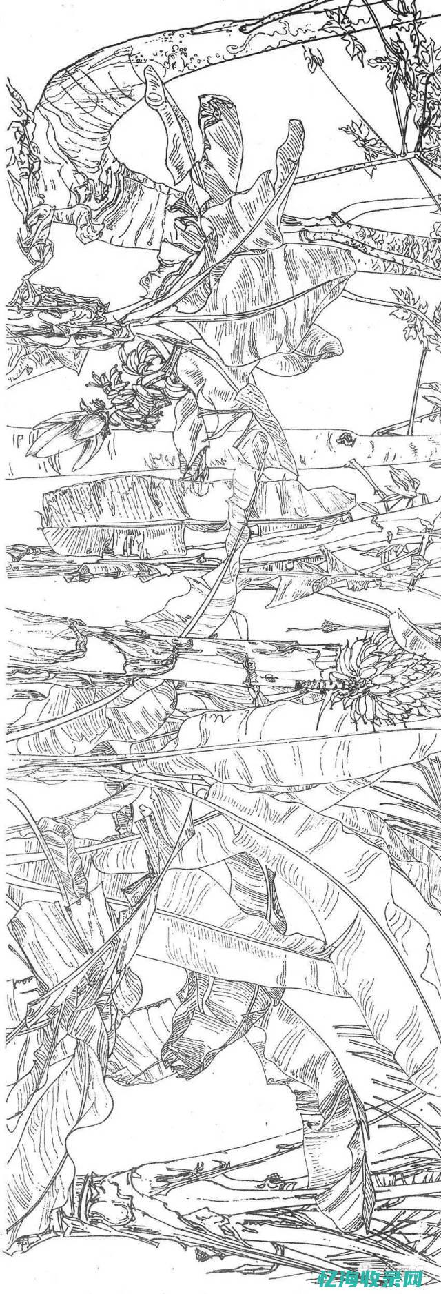 云南seo简单整站优化