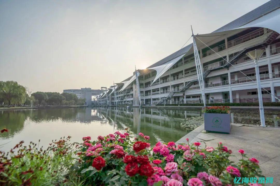 无锡seo外包公司 (无锡外包seo公司)