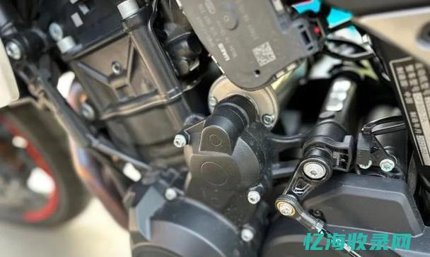 沈阳seo排名公司 (沈阳seo排名营销)