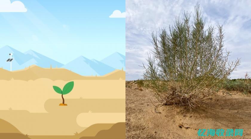 如何做好森林防火宣传