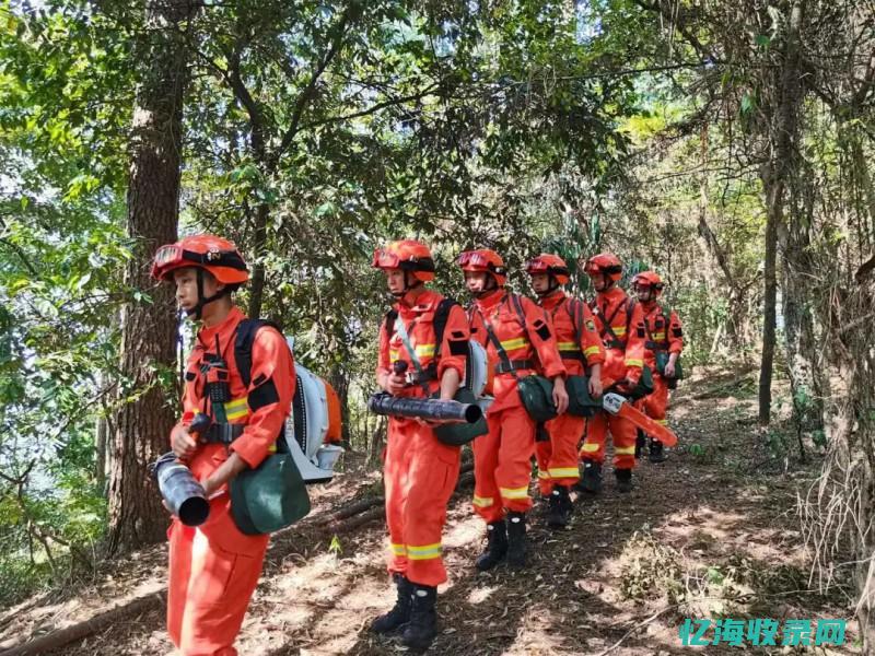 如何做好森林防火宣传
