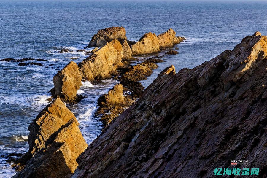 大连seo排名优化 (大连seo快速排名)