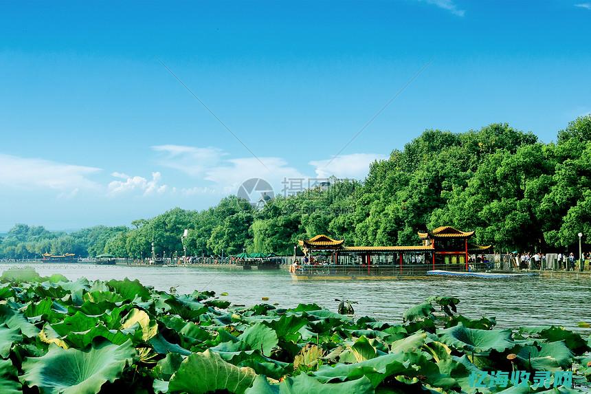 杭州百度seo (杭州百度上班工资多少)