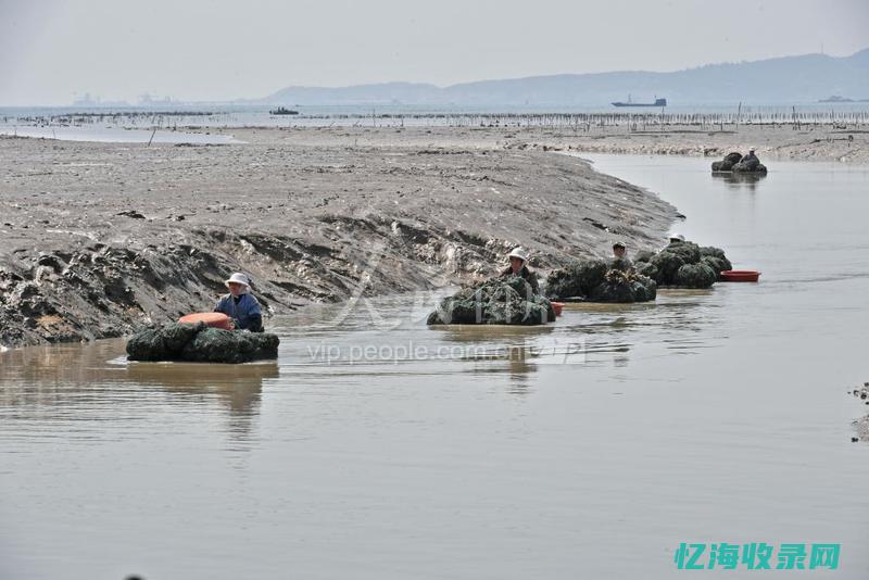 泉州网站收到诈骗短信
