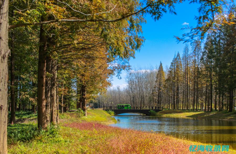 什么公园成为我国第一家公园