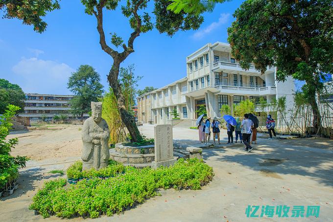 泉州网站seo公司