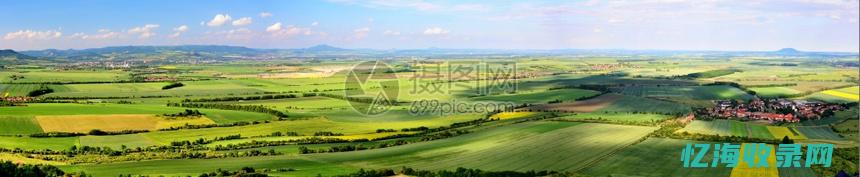 中山的森林覆盖率高吗