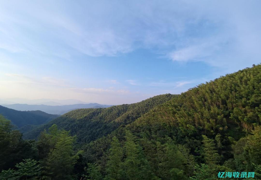 中山的森林公园有哪些 (中山的森林公园在哪里)