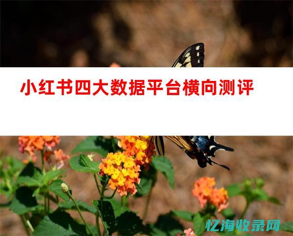 西安seo外包服务 (西安seo网站排名优化公司)