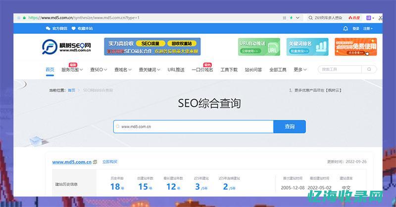 怎么seo