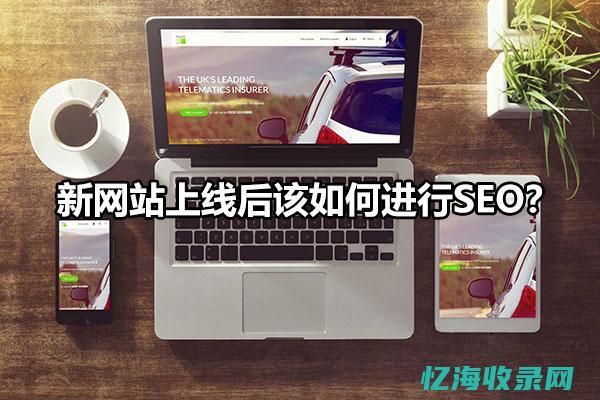 新网站怎么做seo