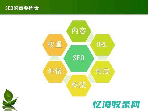 什么叫SEO优化 (seo指的什么)