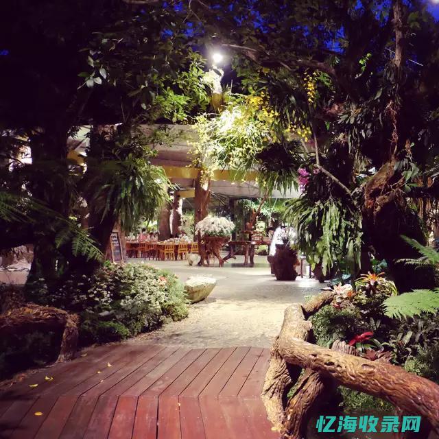 兖州森林餐馆 (兖州森林餐馆地址)