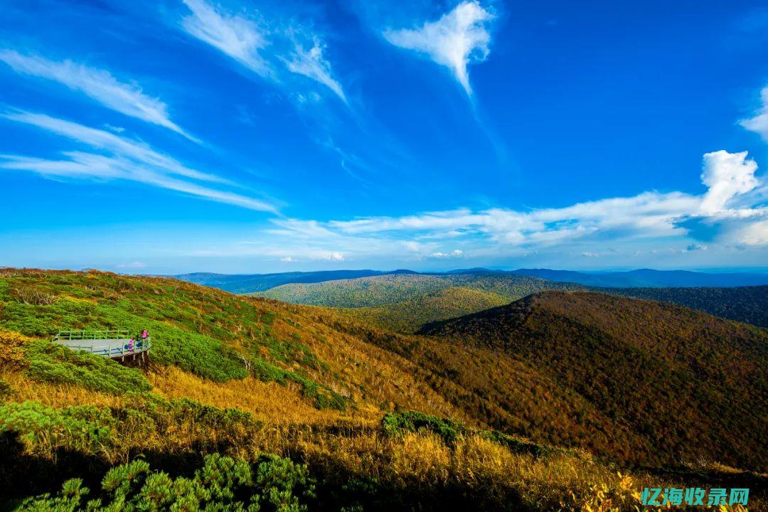 延边森工集团董事长