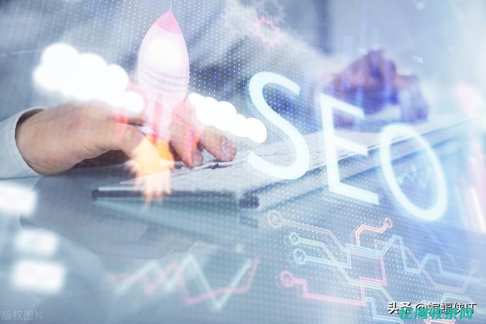 专业的seo搜索引擎优化培训 (专业seo排名)