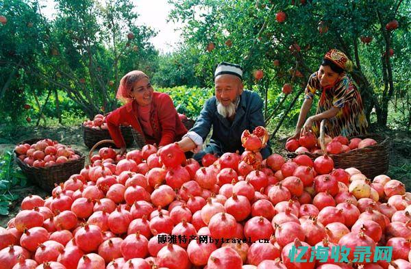 和田色勒县几个乡镇排名第一