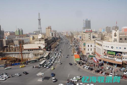 和田SEO (和田seo排名)