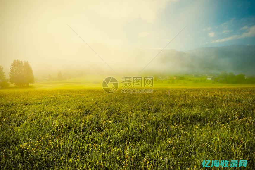 和田森林覆盖率