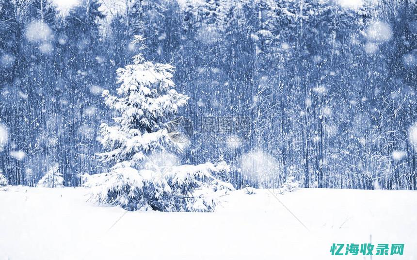 和田森林覆盖率 (和田森林覆盖面积多少)