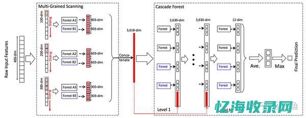 深度森林怎么写