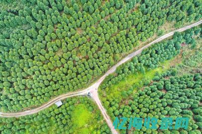 阆中森林覆盖率 (阆中森林覆盖面积)