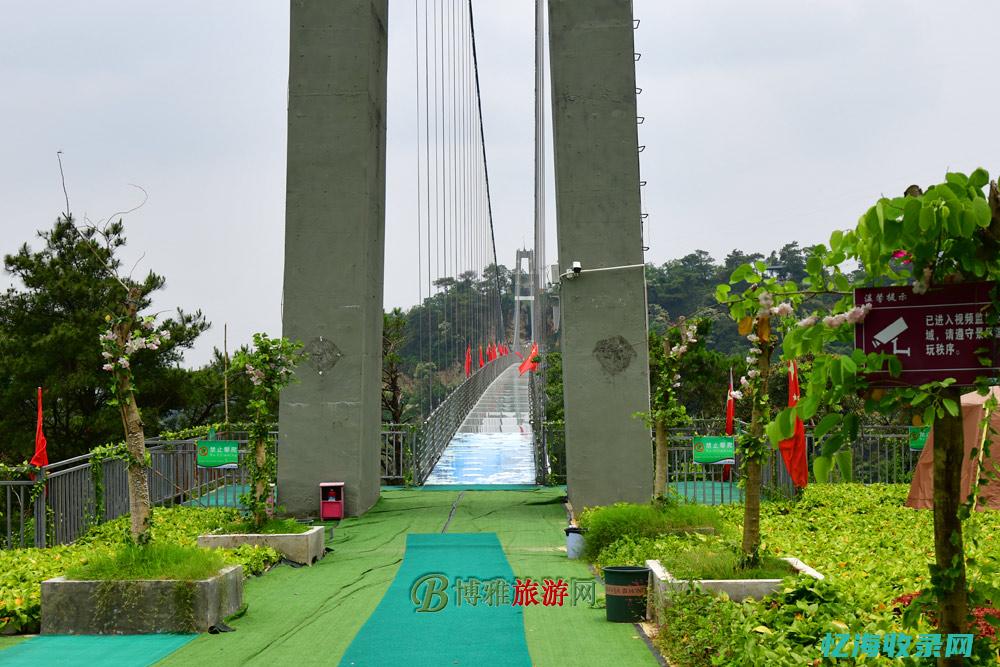 阆中森林王国 (阆中森林王国门票多少钱)