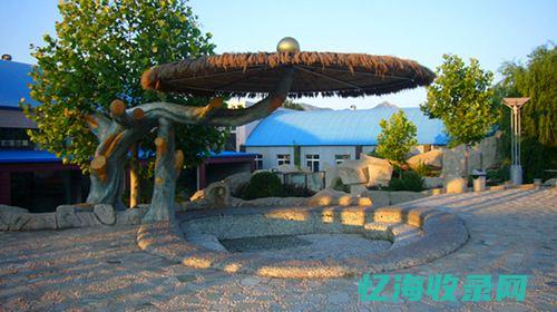 大连seo管理 (大连企业做网站)